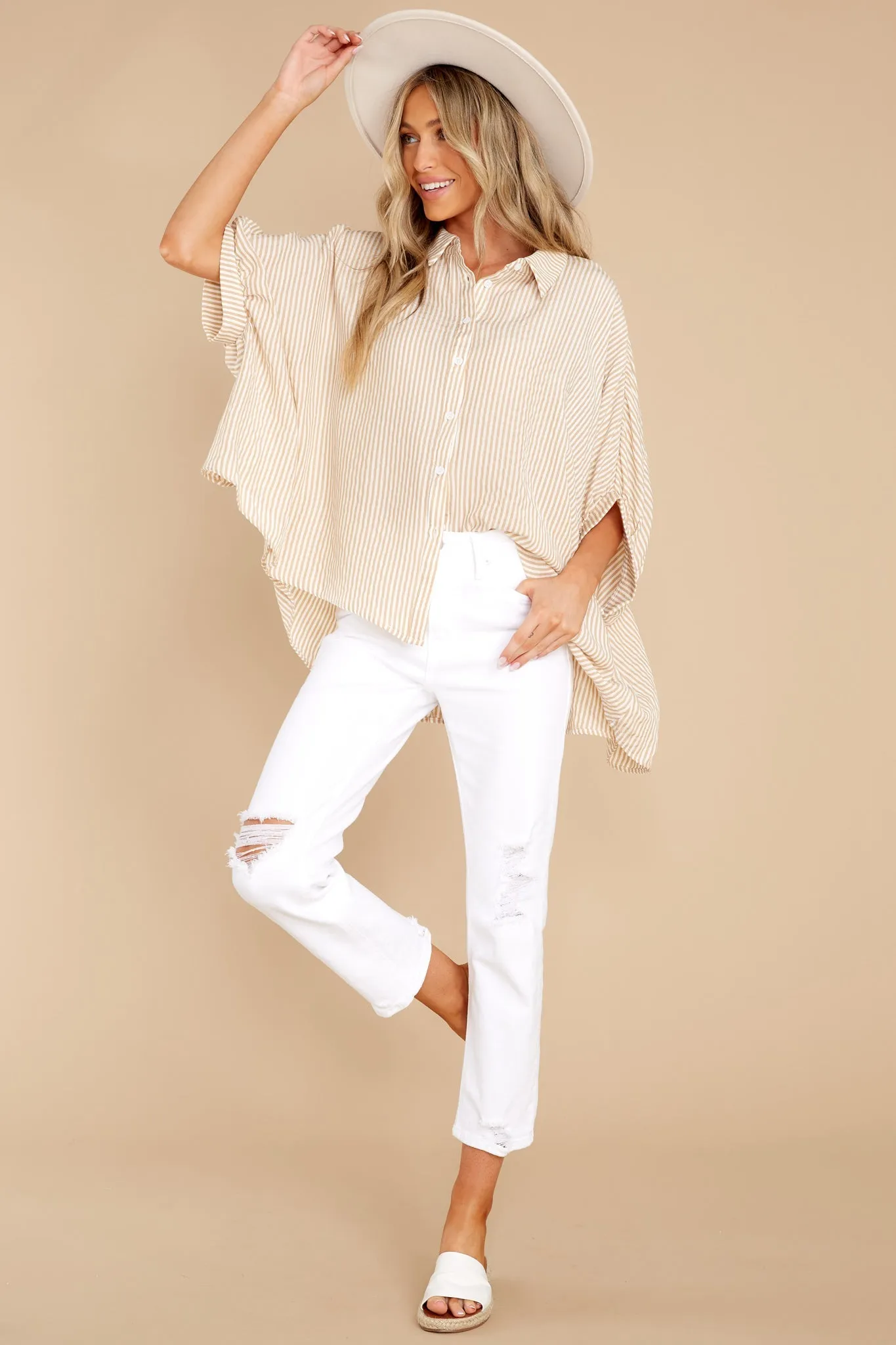 Change Your Stripes Taupe Top