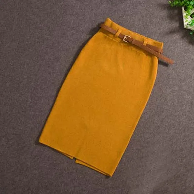 High Waist Knee-length Skirt